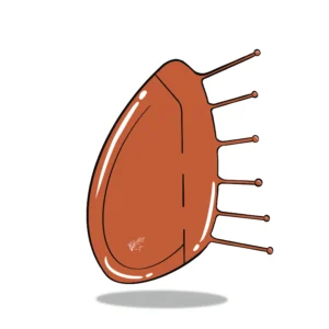 Product3