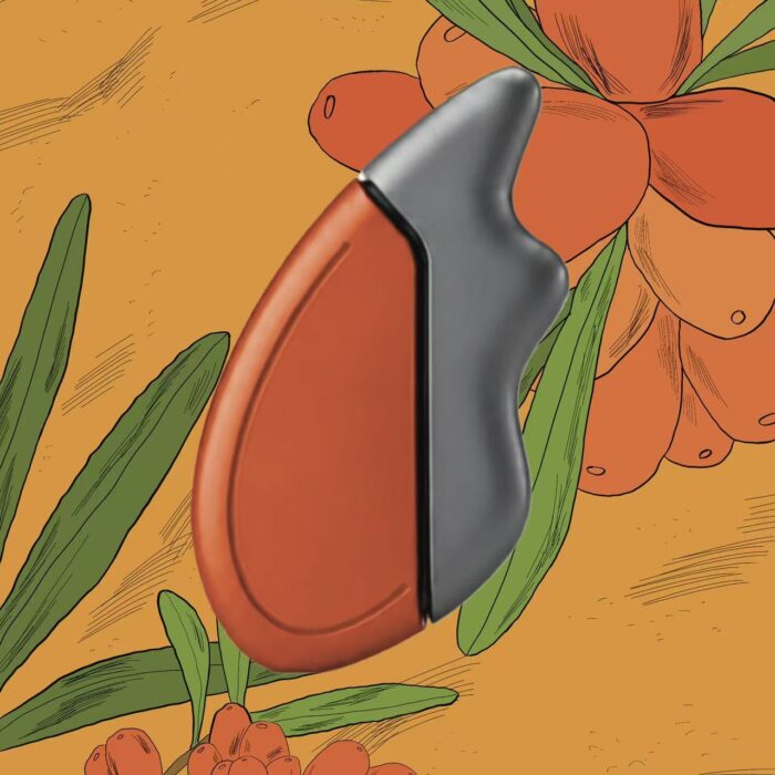 Handle